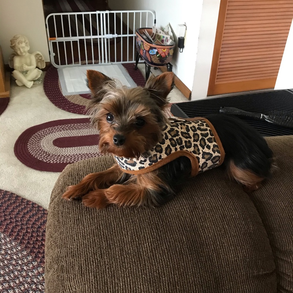 Meet your Posher, Debbie